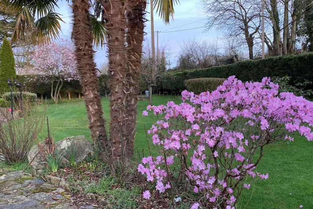 Villa Le Nalousie Livry  Esterno foto